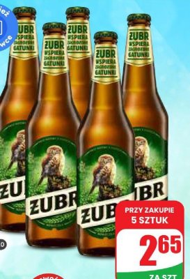 Piwo Żubr butelka zwrotna 0,5l promocja w Dino
