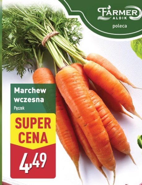 Marchew p臋czek 艢wie偶e jesz promocja