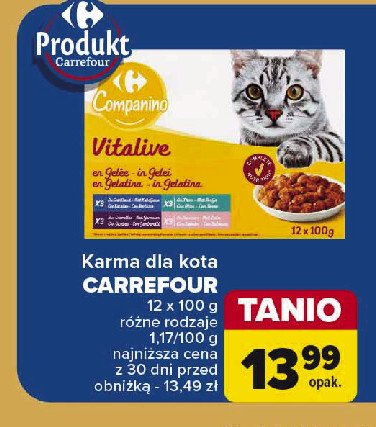 Karma dla kotów vitalive CARREFOUR COMPANINO promocja