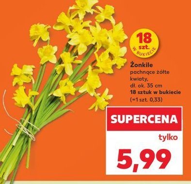呕onkile promocja