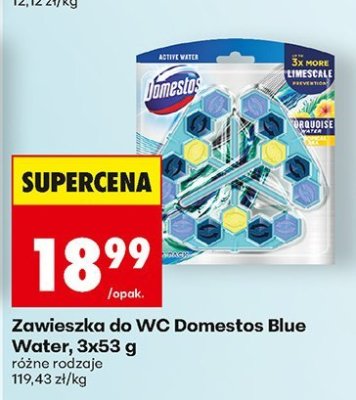 Zawieszka do WC Domestos Blue Water, 3x53 g różne rodzaje promocja w Biedronka