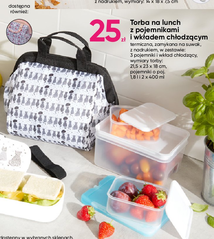 Torba na luch z pojemnikami i wk艂adem ch艂odz膮cym 21.5 x 23 x 18 cm promocja