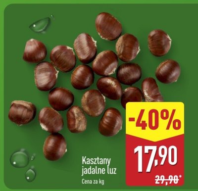 Kasztany jadalne luz promocja w Aldi