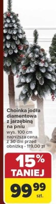 Choinka jodła diamentowa z jarzębiną na pniu 100 cm Carrefour promocja w Carrefour