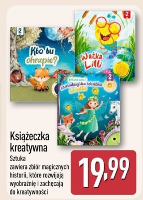 Książeczka kreatywna promocja w Aldi