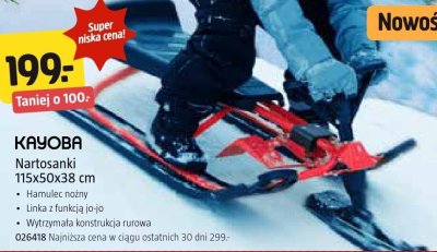 Nartosanki KAYOBA 115x50x38 cm promocja w Jula