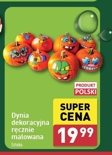 Dynia malowana promocja