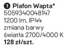 Plafon Wapta GoodHome promocja w Castorama