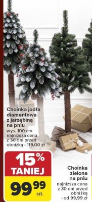 Choinka jodła diamentowa z jarzębiną na pniu wys. 100 cm promocja w Carrefour