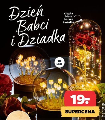 Kwiaty w kopule 12x12,3 cm, 10 LED, różne kolory promocja w Netto