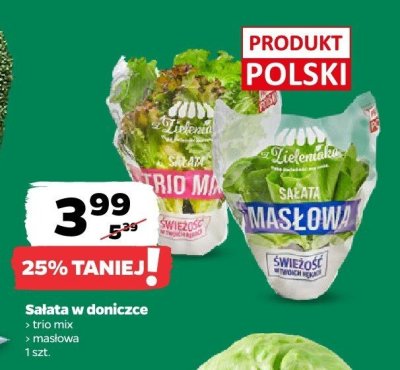 Sałatka w doniczce trio mix promocja w Netto