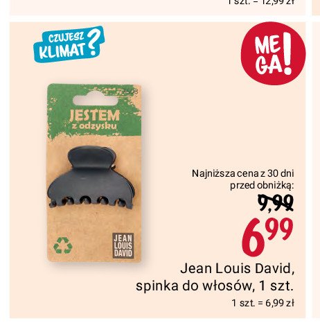 Spinka do włosów łapacz Jean louis david promocja