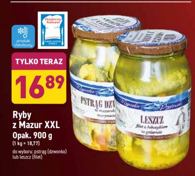 Filet z leszcza z lubczykiem w galarecie Mazurskie przysmaki promocja