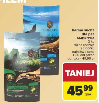 Karma sucha dla psa 2 kg AMBROSIA promocja w Carrefour