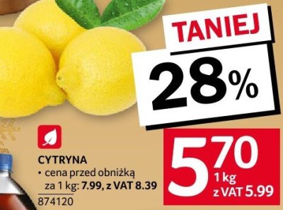 Cytryna promocja w Selgros