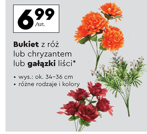 Gałązka jesienne liście promocja