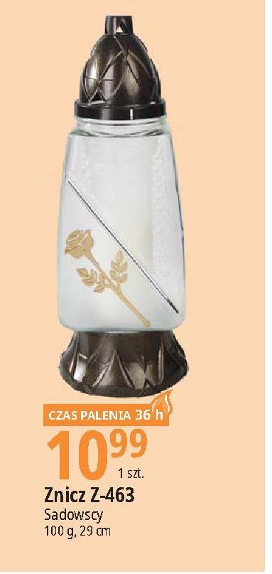 Znicz z-463 Sadowscy since 1994 promocja