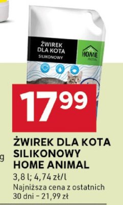 Żwirek silikonowy dla kota lawendowy Casti promocja w Stokrotka