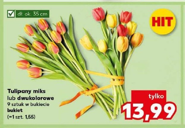 Tulipany dwukolorowe 35 cm promocja