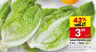 Sałata rzymska mini 2 szt., 1 opak. promocja w Twój Market