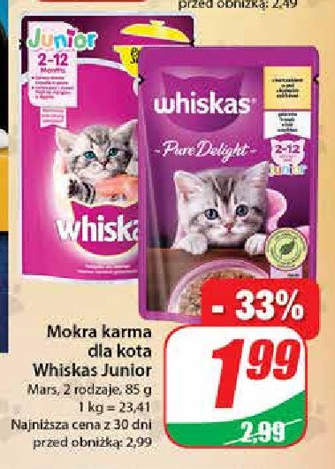 Karma dla kota potrawka straccetti Whiskas junior promocja