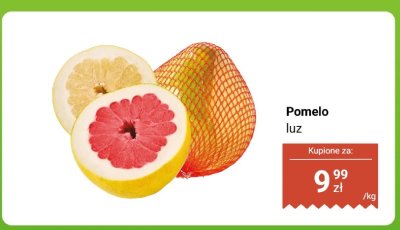 Pomelo luz promocja w Dino
