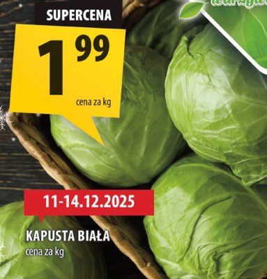 Kapusta biała promocja w Arhelan