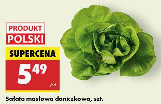 Sałata masłowa polska promocja