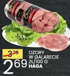 Ozór w galarecie Haga promocja w Wafelek