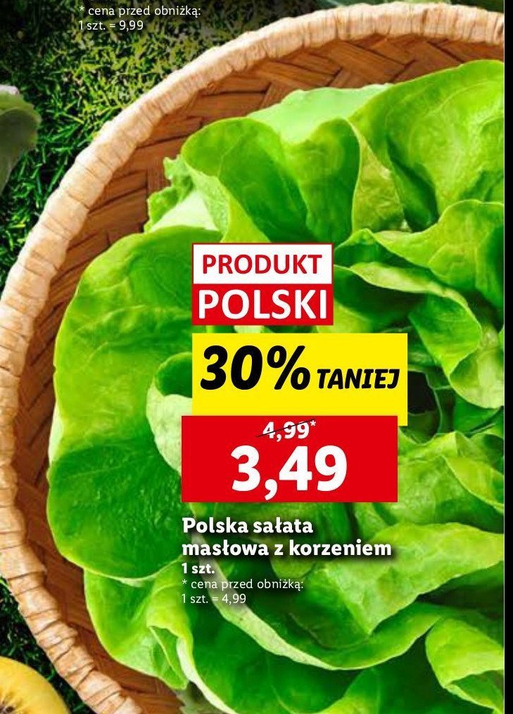 Sałata masłowa promocja w Lidl