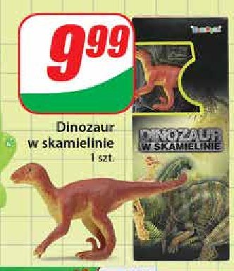 Dinozaur w skamielinie promocja