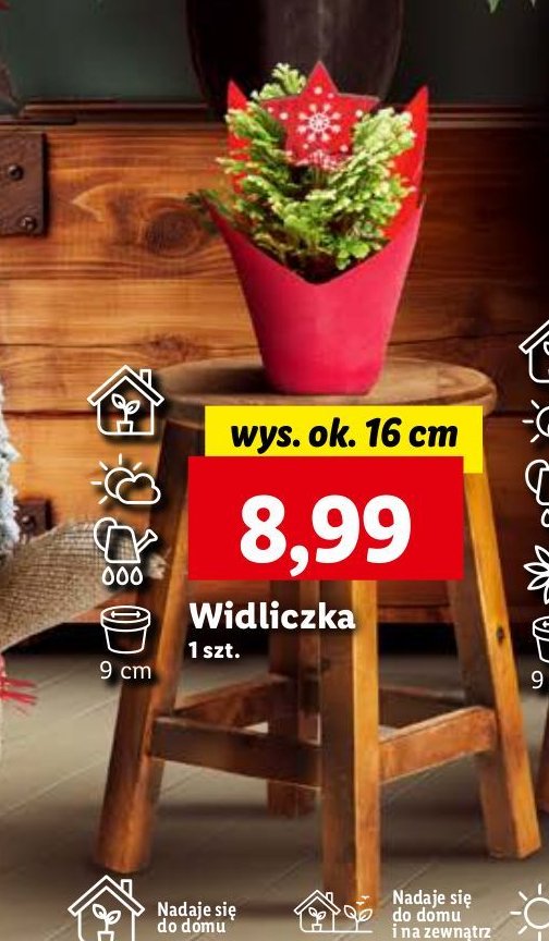 Widliczka 16 cm promocja