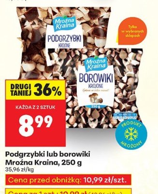 Podgrzybki lub borowiki Mroźna Kraina 250 g promocja w Biedronka