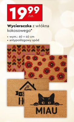 Wycieraczka z włókna kokosowego promocja w Biedronka