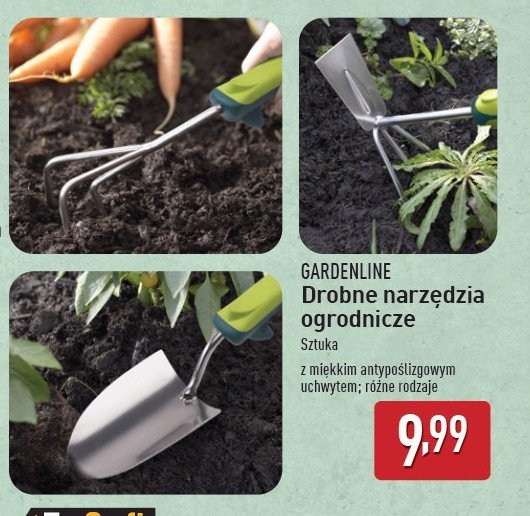 Pazurki ogrodowe GARDEN LINE promocja w Aldi