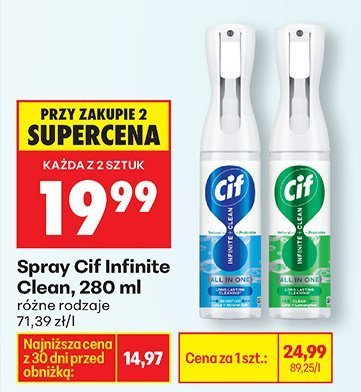 Spray Infinite Clean, 280 ml różne rodzaje promocja w Biedronka