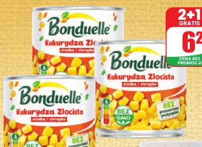 Kukurydza złocista  promocja w Dino