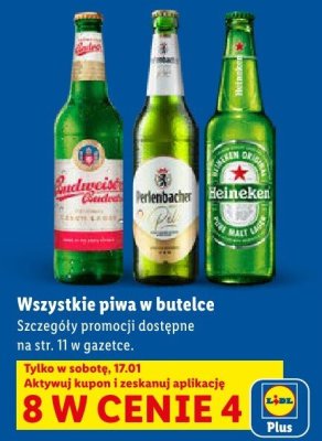 Piwo w butelce wszystkie rodzaje 8 w cenie 4 promocja w Lidl