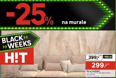 Mural PAMPAS promocja w Leroy Merlin