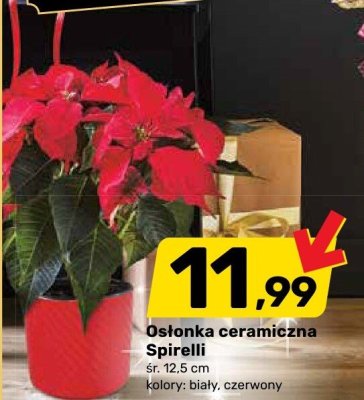 Osłonka ceramiczna Spirelli promocja w Bricomarche