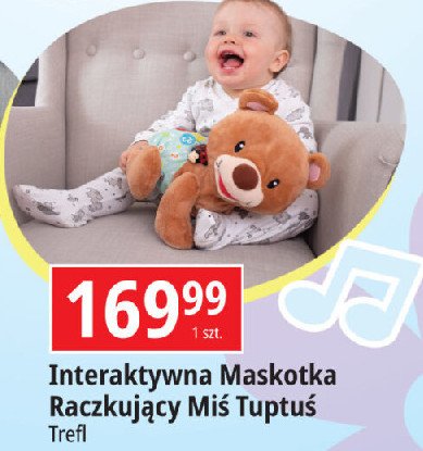 Raczkujący miś tuptuś Vtech promocja w Leclerc