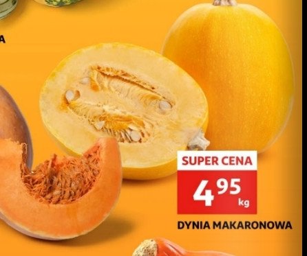 Dynia makaronowa promocja