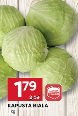 Kapusta biała promocja w Stokrotka