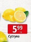 Cytryna promocja w Leclerc