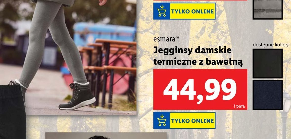 Jegginsy termiczne damskie Esmara promocja