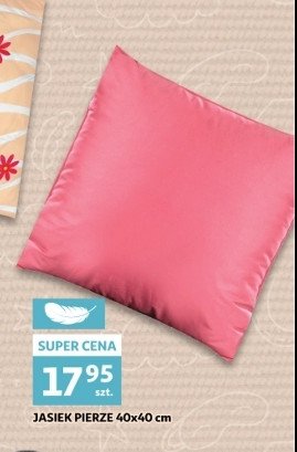 Jasiek pierze 40 x 40 cm promocja