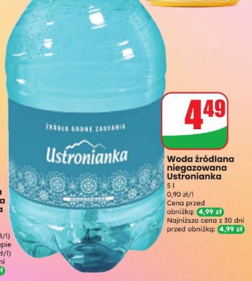 Woda źródlana niegazowana 5 l promocja w Dino