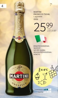 Wino MARTINI PROSECCO 750 ML promocja w Selgros