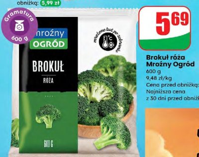Brokuł róża  promocja w Dino