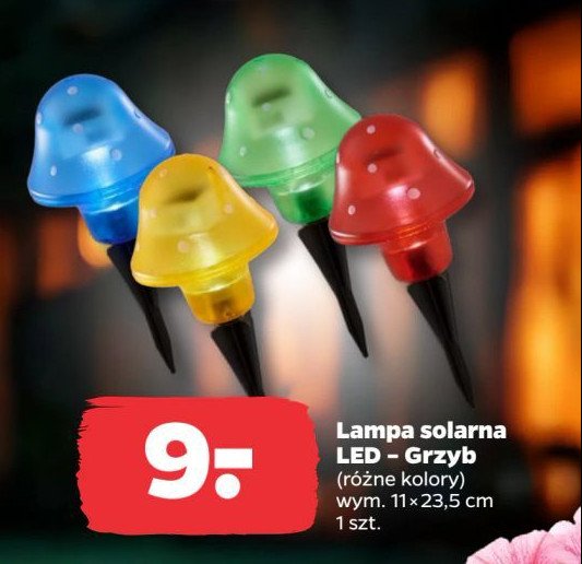 Lampa solarna grzybek promocja